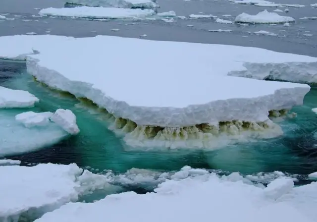 Изменение климата влияет на рыбу в озерах Онтарио