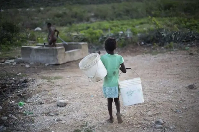 Бактерии могут путешествовать по воздуху на тысячи миль по всему миру: исследование может пролить свет на вредные бактерии, которые имеют общие гены устойчивости к антибиотикам