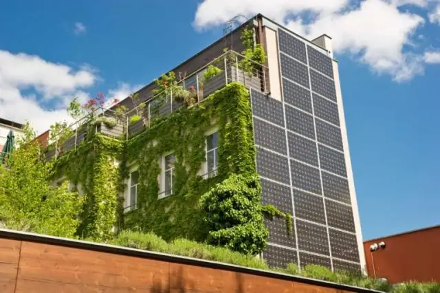 Сталагмит является ключом к предсказанию засух и наводнений в Индии