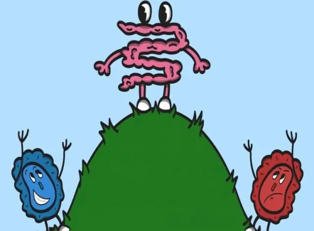 Разнообразие лекарств у бактерий: исследователи расшифровывают механизм диверсификации биоактивных феназинов