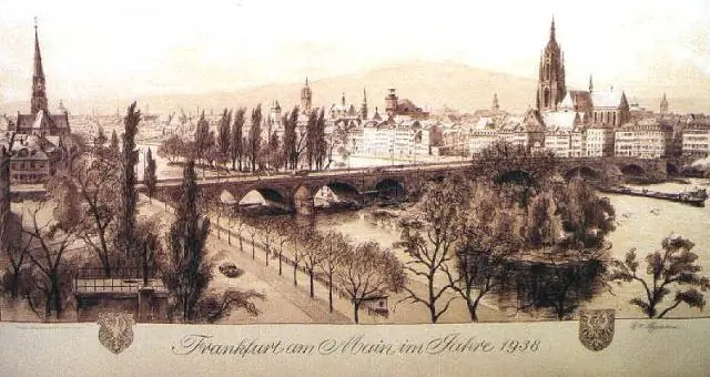 Недавно обнаруженный медузавирус дает новое представление о совместной эволюции организмов и вирусов