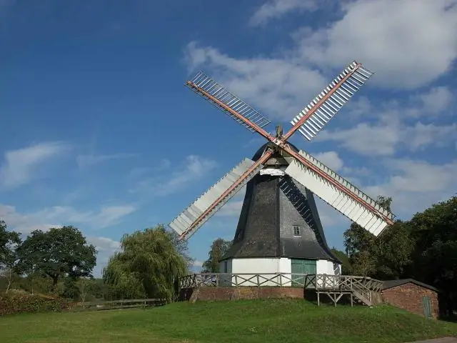 Деревья имеют решающее значение для будущего наших городов