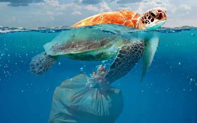 Отслеживание процесса образования закиси азота в океане