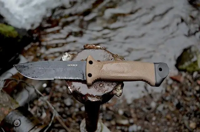 Пари, которые делают зимние растения, чтобы выжить