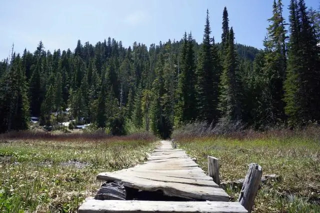 Огромный запас сортов яблок в Вайоминге: выявлены традиционные сорта яблок