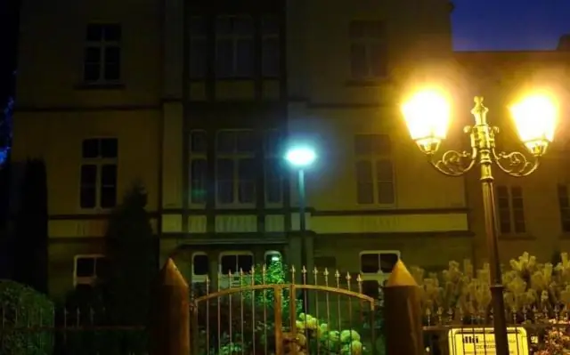 Как свет уличных фонарей и деревьев влияет на активность городских летучих мышей: сложная взаимосвязь