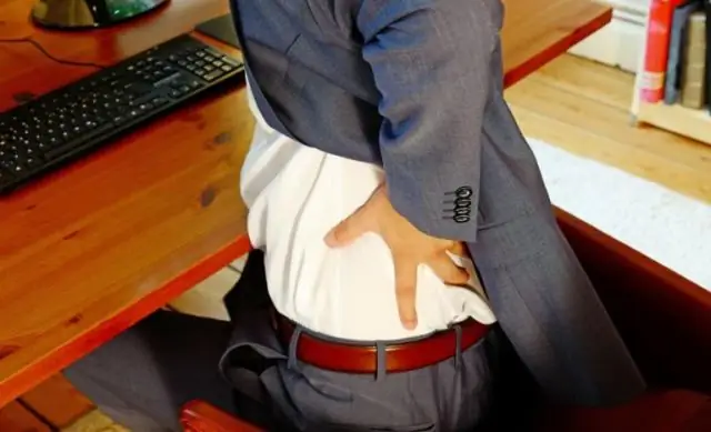 Лежа, сидя или стоя: Позы для отдыха определяются размером животных