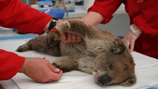 Города под давлением меняющегося климата