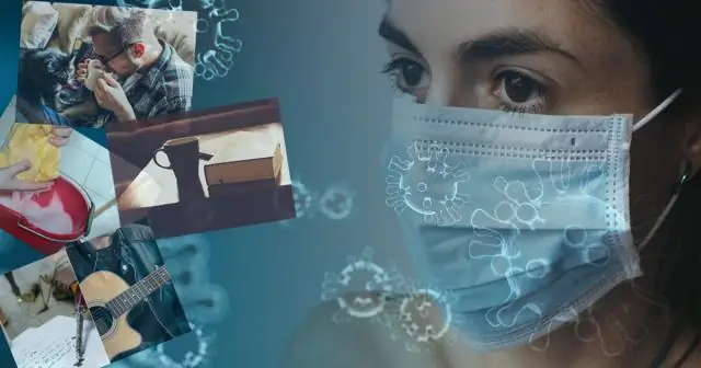 В древних океанах, напоминавших наш, потеря кислорода вызвала массовое вымирание