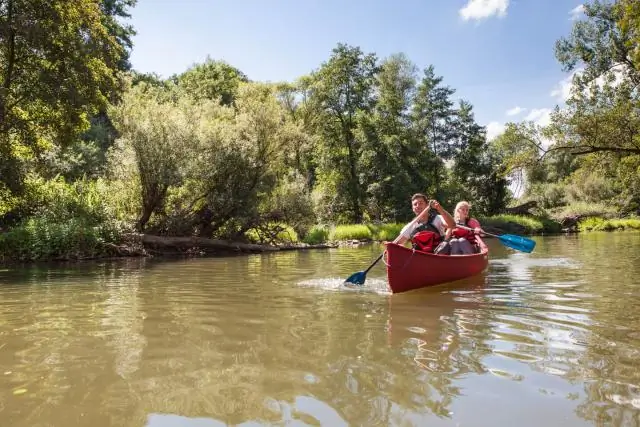 Новое понимание биоразнообразия почвы, глобального двигателя Земли