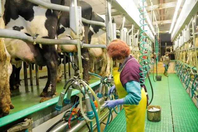 Помогаем молочным фермам сократить выбросы азота и сэкономить деньги