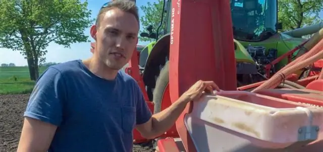 Новый ген необходим для образования початков кукурузы