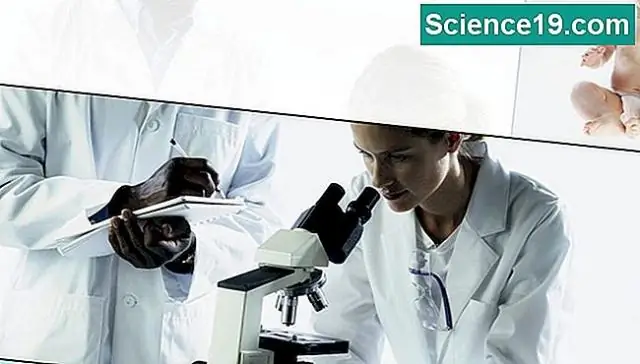 Пробка в клетке: Как белки связываются с конкретными переносчиками?