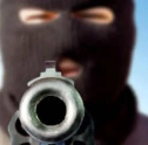 Чикаго возглавил список самых опасных городов для перелетных птиц