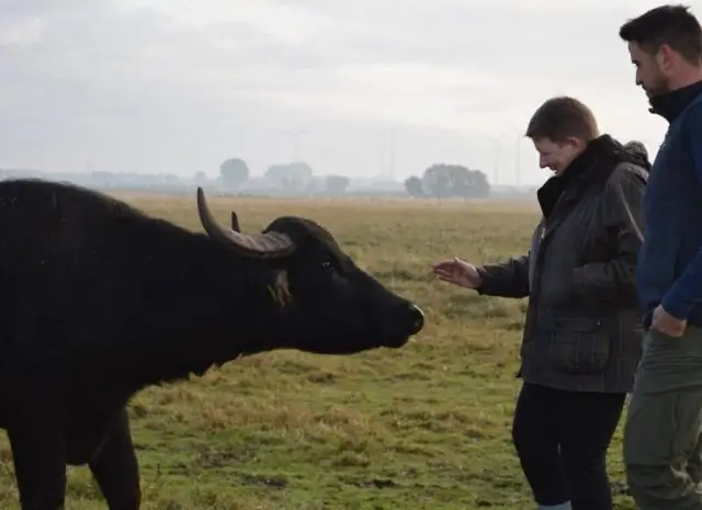 Охраняемые морские заповедники не только восстанавливают рыбу: исследование Массачусетского университета в Амхерсте, Смитсоновский институт, Флорида сообщает о более широких экологических преимущества