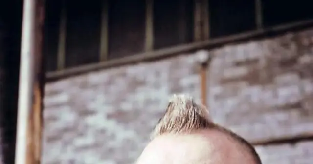 Пища для размышлений: почему мы вообще начали заниматься сельским хозяйством?