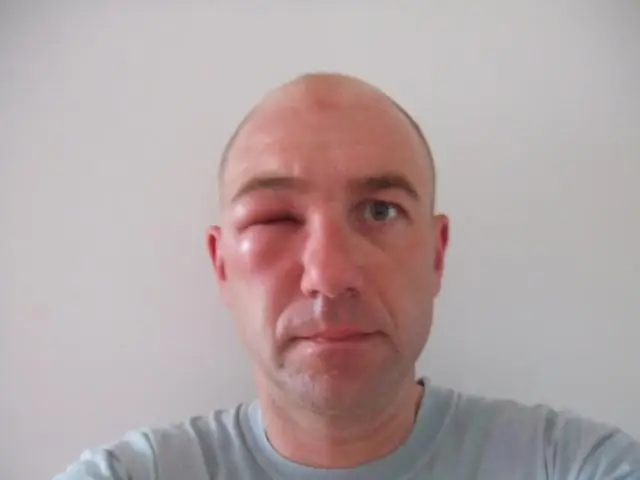 Ячменное зерно возрастом 5000 лет, обнаруженное в Финляндии, меняет представление о средствах к существованию