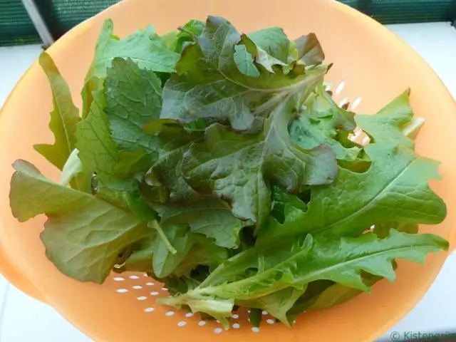 Растения меньше растут при более высоких температурах