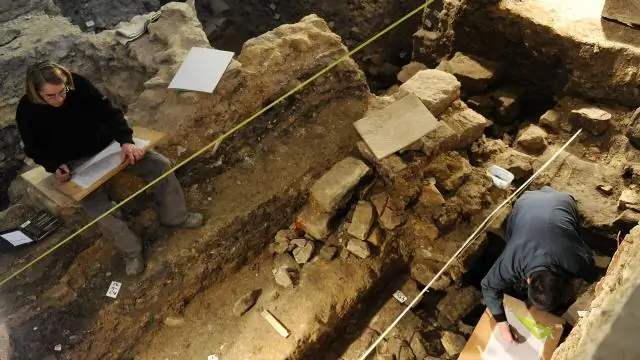 Клеточный урок: лучше скоординировать, чем по отдельности: три основных этапа экспрессии наших генов взаимосвязаны через общий регулятор - белок Xrn1