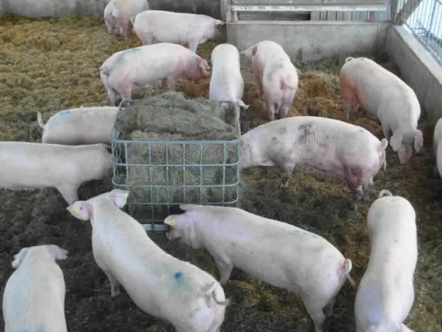 Эволюционные изменения сыграли решающую роль в индустриализации