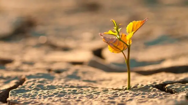 Разрушительные землетрясения в провинции Сычуань, связанные с операциями по гидроразрыву пласта