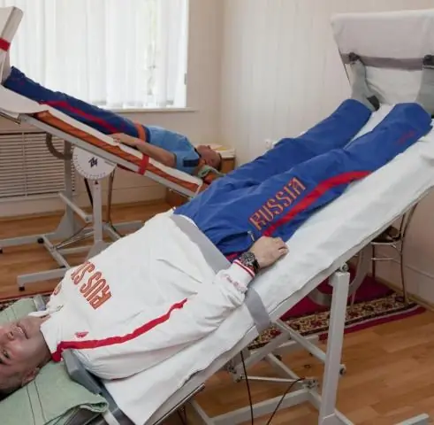 Большой антарктический шельфовый ледник, где находится британская исследовательская станция, вот-вот расколется