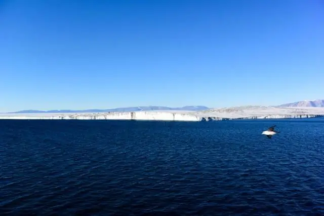 Международная команда расшифровала геном твердой пшеницы: новая последовательность генома будет способствовать глобальной безопасности пищевых продуктов