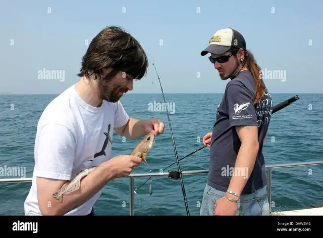 Исследователи удаляют вредные гормоны из сточных вод Лас-Вегаса с помощью зеленых водорослей