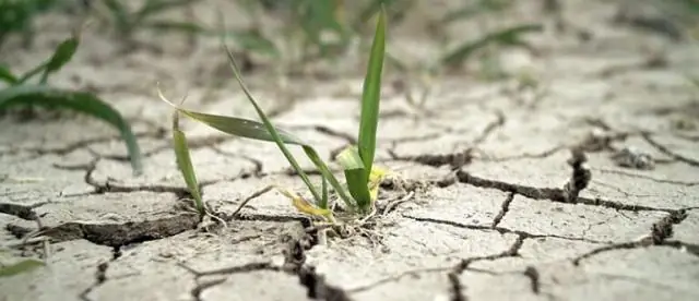 Новое понимание того, как изменение климата меняет барьерные острова Вирджинии