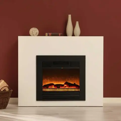 Бионика: электрический вид в мутных водах: исследователи разработали камеру по образцу африканской слононосой рыбы