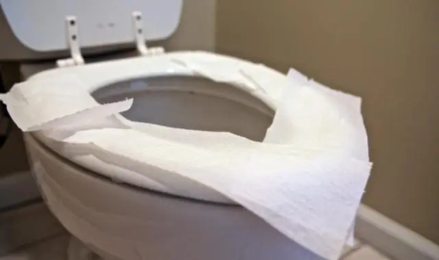 Бактерии щелкают электрическим выключателем, чтобы усугубить пищевое отравление: вызванное инфекцией изменение движения макрофагов приводит к распространению бактерий по всему телу