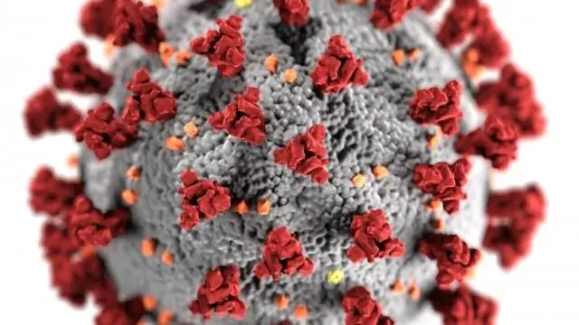 «Аллельный драйв» на основе CRISPR позволяет осуществлять генетическое редактирование с избирательной точностью и широкими последствиями