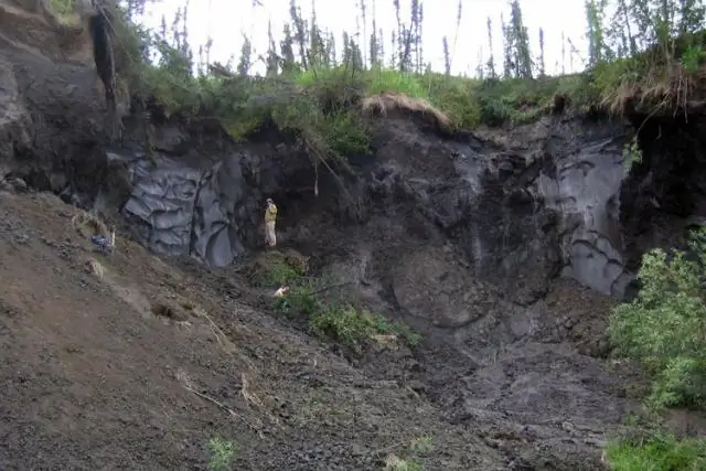 Юкон стал самым теплым за последние 13 600 лет