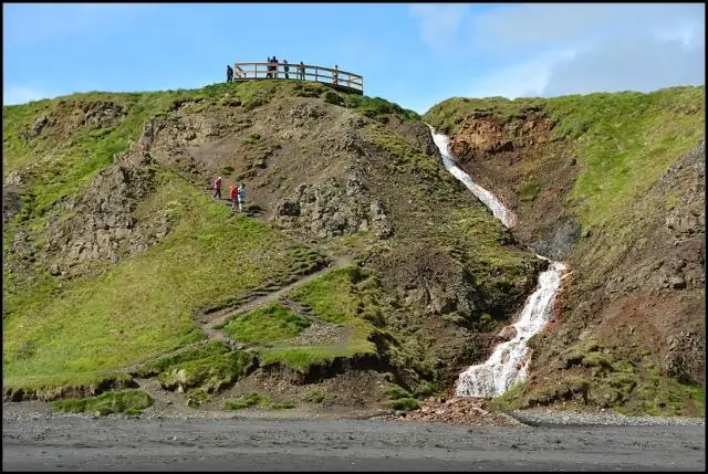 Эволюция от воды к суше привела к лучшему воспитанию детей