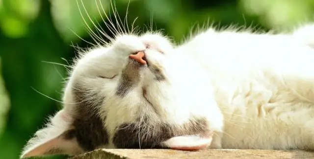 Новые исследования подтверждают вулканическое происхождение железных руд типа Кируны