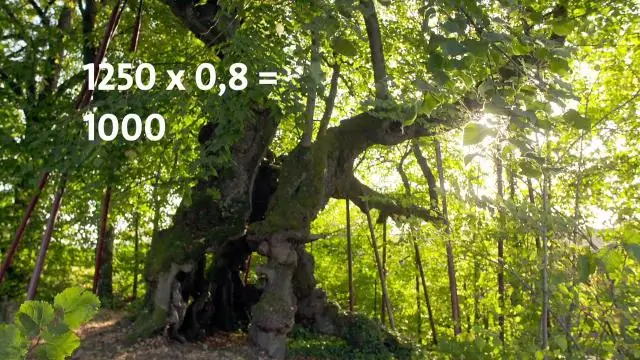 Знание того, как клетки растут и делятся, может привести к более крепким и продуктивным растениям