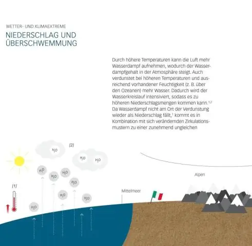 Теперь мы знаем, как насекомые и бактерии контролируют лед: белки помогают организмам образовывать кристаллы льда или препятствуют их образованию