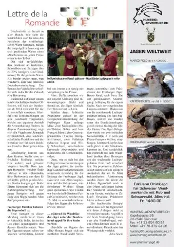 Расплачиваются ли певчие птицы за зимние странствия?