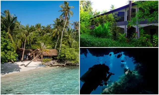 Акулы более уязвимы, чем предполагалось изначально