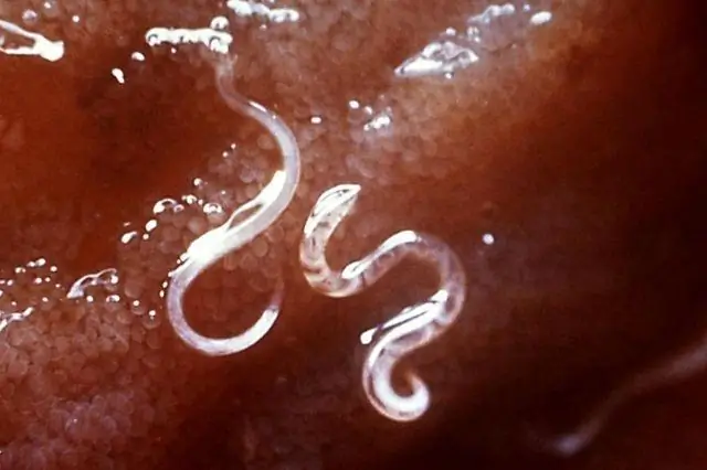 Изменение климата может подорвать образование и развитие детей в тропиках