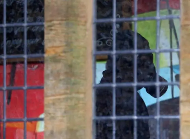 В новом отчете рассматривается безопасность использования диспергентов при ликвидации разливов нефти