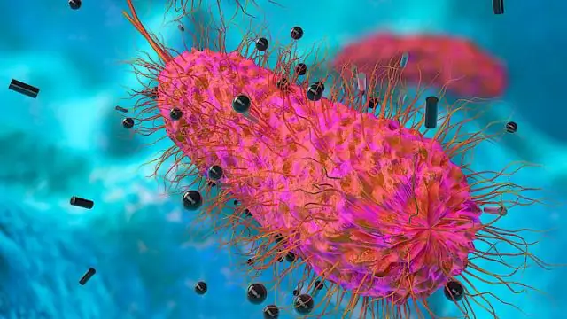 Новый антибиотик широкого спектра действия на основе мышьяка