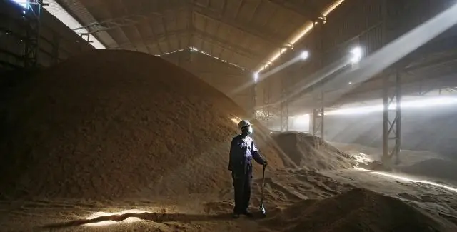 Метод пропаривания снижает содержание неорганического мышьяка в рисе