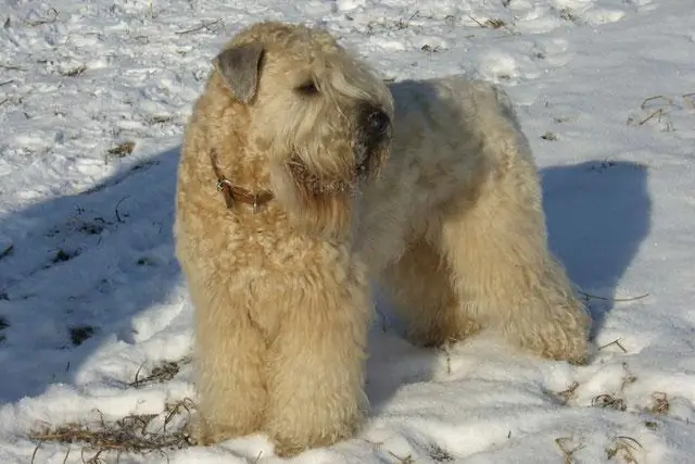 Переход от охоты к скотоводству зафиксирован в древней моче: соли в моче показывают время и масштаб неолитической революции на турецком участке