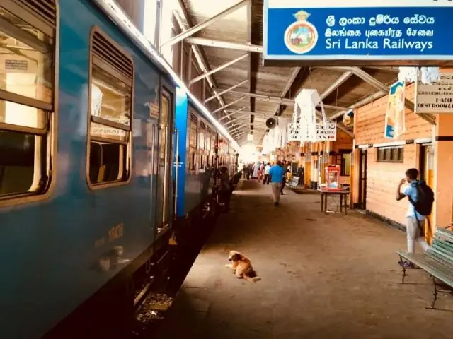 Неотропические облачные леса потеряют то, что их больше всего определяет: облака