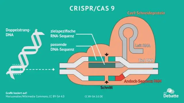 Как бактерии создают фермент, разрушающий веселящий газ, изменяющий климат