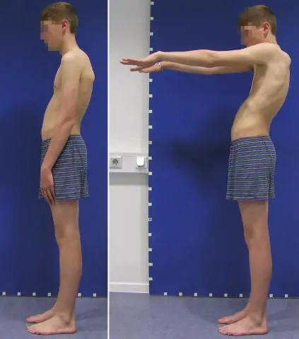 Слабые пчелиные семьи могут разрушиться из-за воздействия холода во время транспортировки