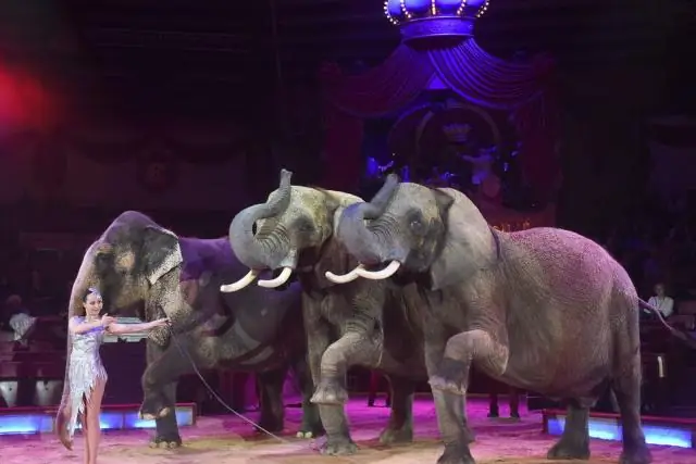 Как поживает дикая природа после пожаров?