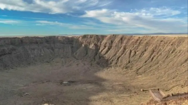 Недавно обнаруженный вирус Эбола может не вызывать тяжелых заболеваний у людей