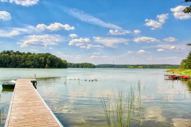 Основной глубокий поглотитель углерода связан с микробами, обнаруженными вблизи цепей вулканов: ученые показали, как микробы помогают хранить миллионы тонн углекислого газа